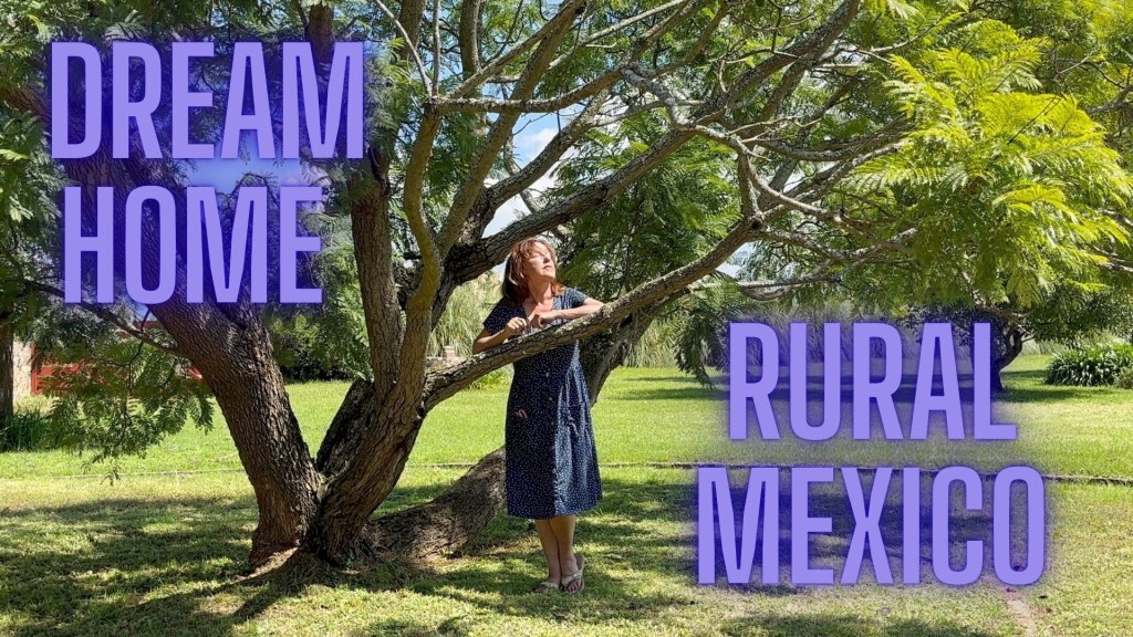 House Tour | My New Home and 1.7 Acres in Michoacán,&nbsp;Mexico