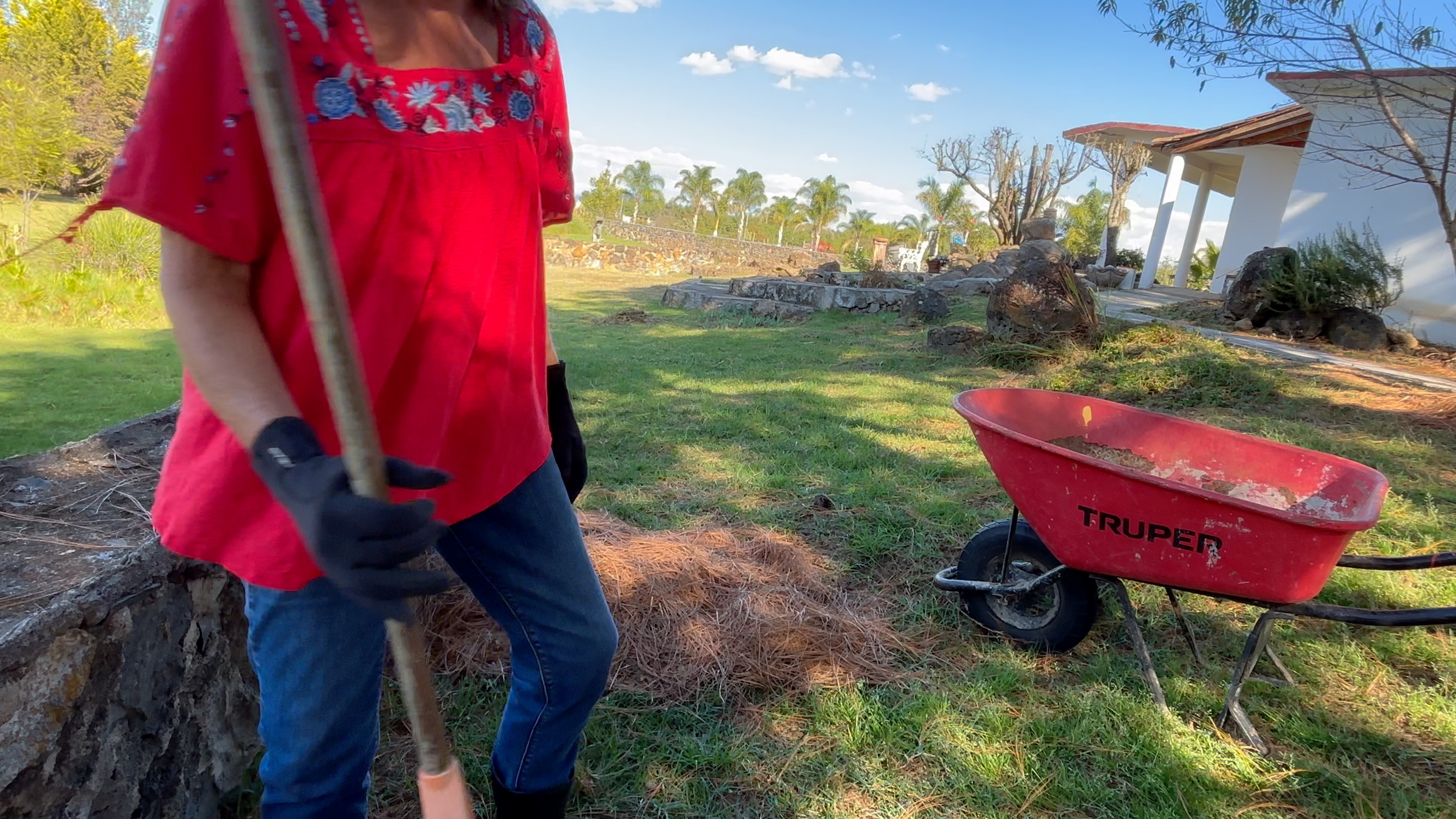 Winter Days in the Mountains | Life Update in Mexico