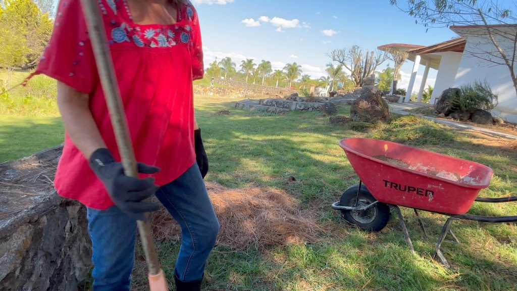 Winter Days in the Mountains | Life Update in&nbsp;Mexico